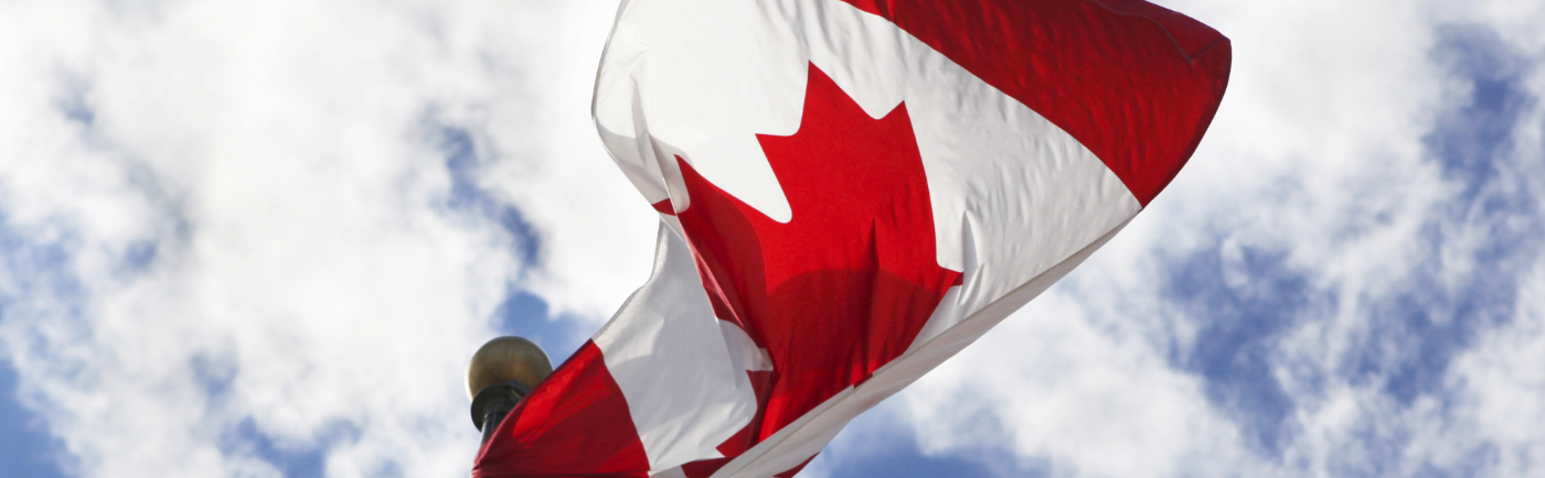 INDIVIDUAL BRANCHES AND CHAPTERS