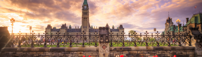 Government Updates
